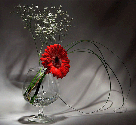 Download Https Encrypted Tbn0 Gstatic Com Images Q Tbn 3aand9gcq7y9taoyqryx Rwxk0widas 5ea8dfsqwsrw Usqp Cau Desktop Wallpaper Wallpaper Https Encrypted Tbn0 Gstatic Com Images Q Tbn 3aand9gcq7y9taoyqryx Rwxk0widas 5ea8dfsqwsrw Usqp Cau For Free