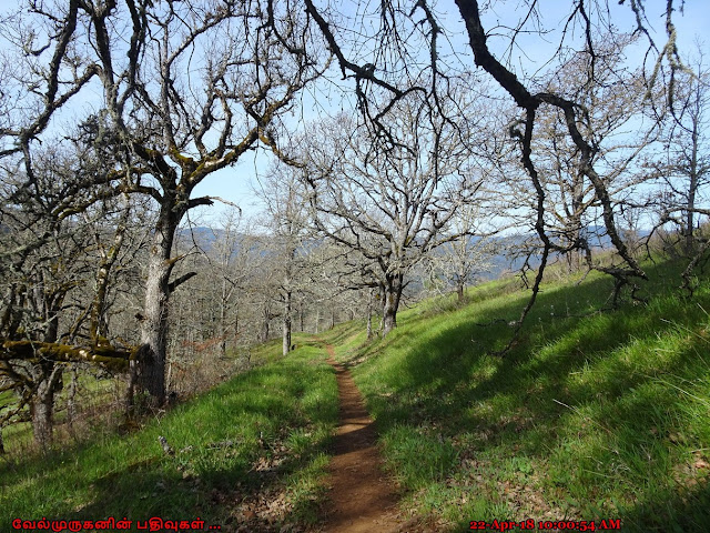 Weldon Wagon Road Trail in Washington