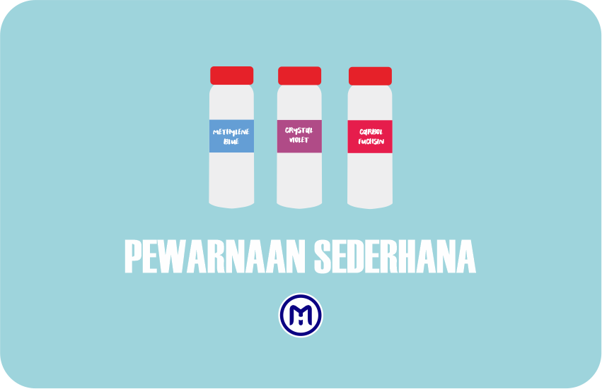 Pewarnaan Sederhana Prinsip Dan Prosedur Pewarnaan Microbeholic