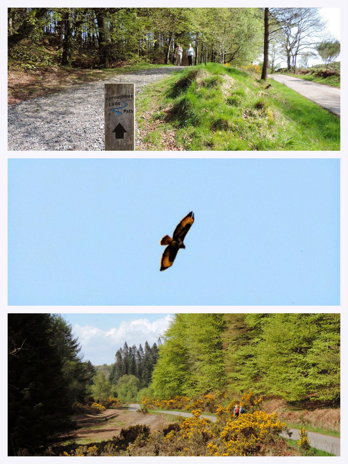 The Glebe Blog Creetown to Newton Stewart with the Wigtown Walks and