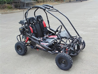 TRAILMASTER-MINI-XRXR-6.jpg