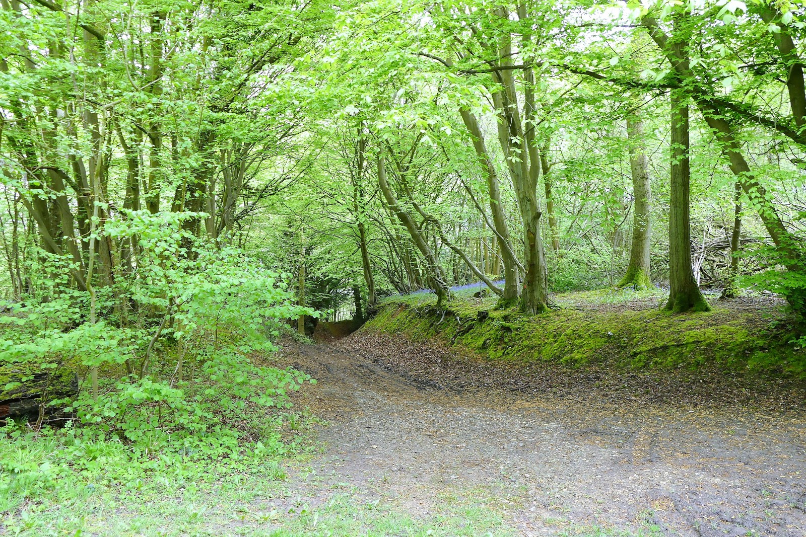 WALKING WITH THE MEDWAY WANDERER My walk this morning in Upper Halling