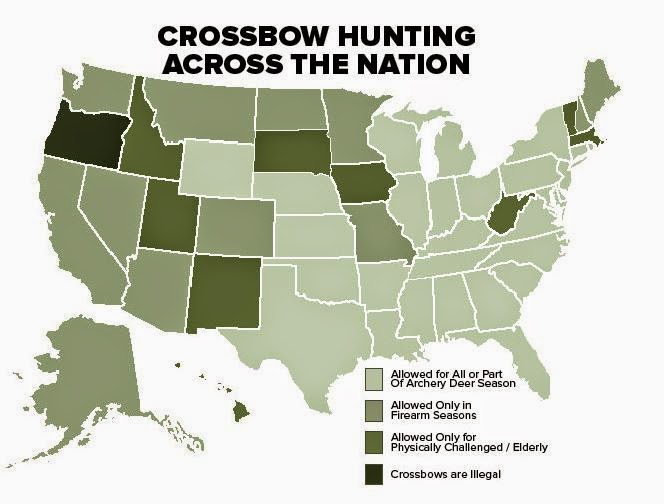 Accessible Hunter Hunting With a Crossbow
