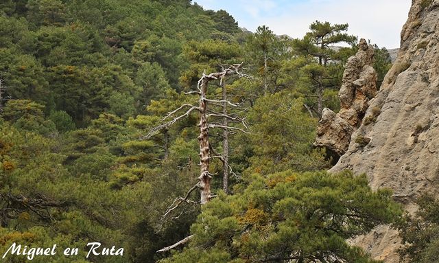 Ruta-nacimiento-Guadalquivir-7