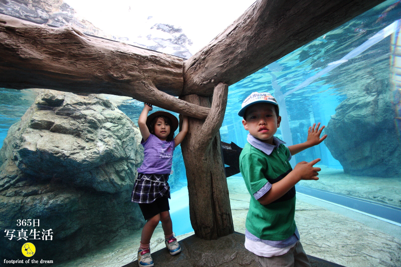 水族館で家族写真の出張撮影 in 京都