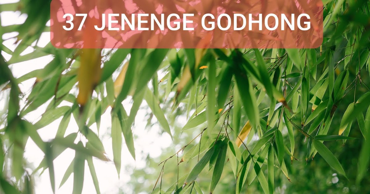 37 Jenenge Godhong Ing Basa Jawa Intanpari Com