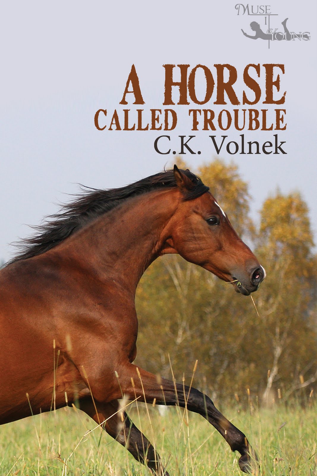 Called horse