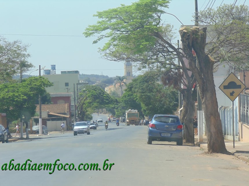 Avenida Cel Pedro Lino