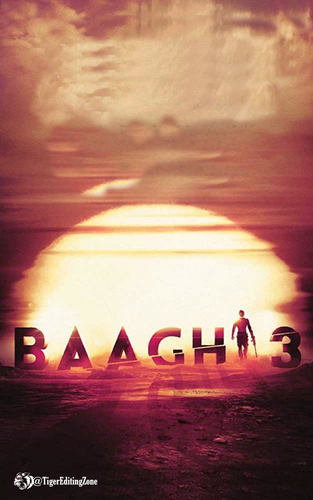 Baaghi 3 Photo Editing Background | Baaghi 3 Movie Poster for Editing
