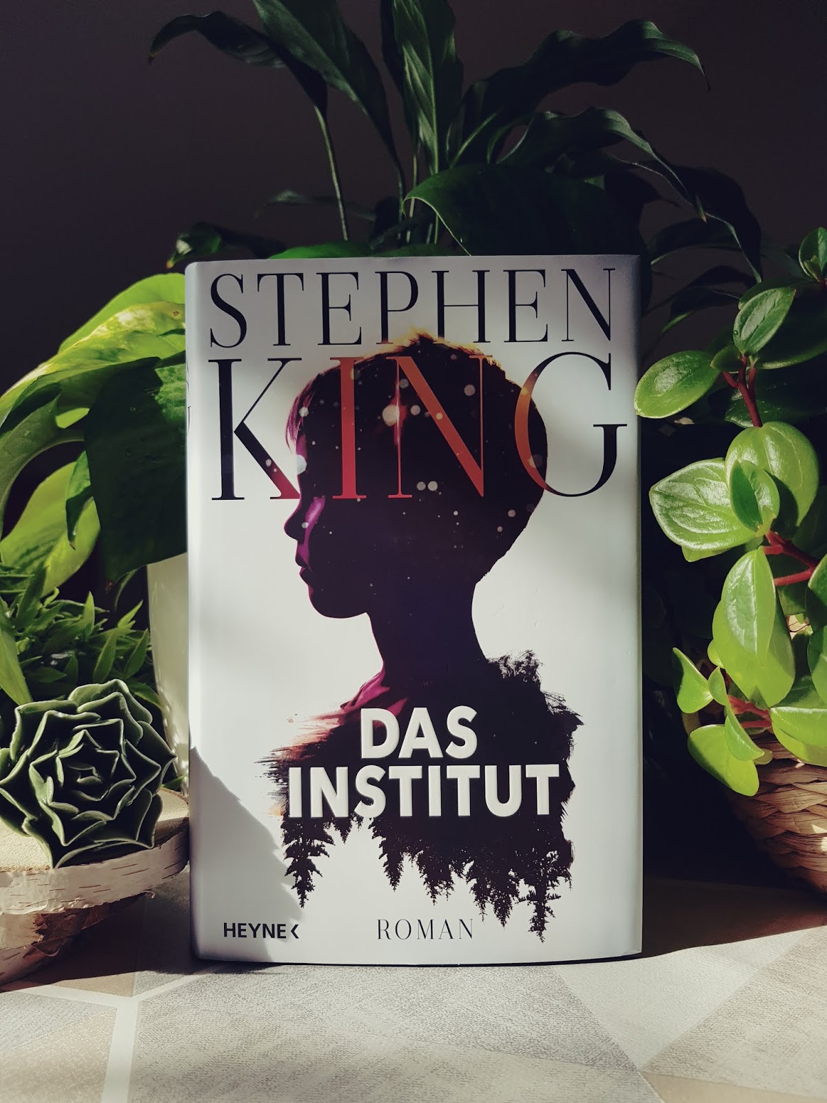 Aljus Bookblog Das Institut Stephen King