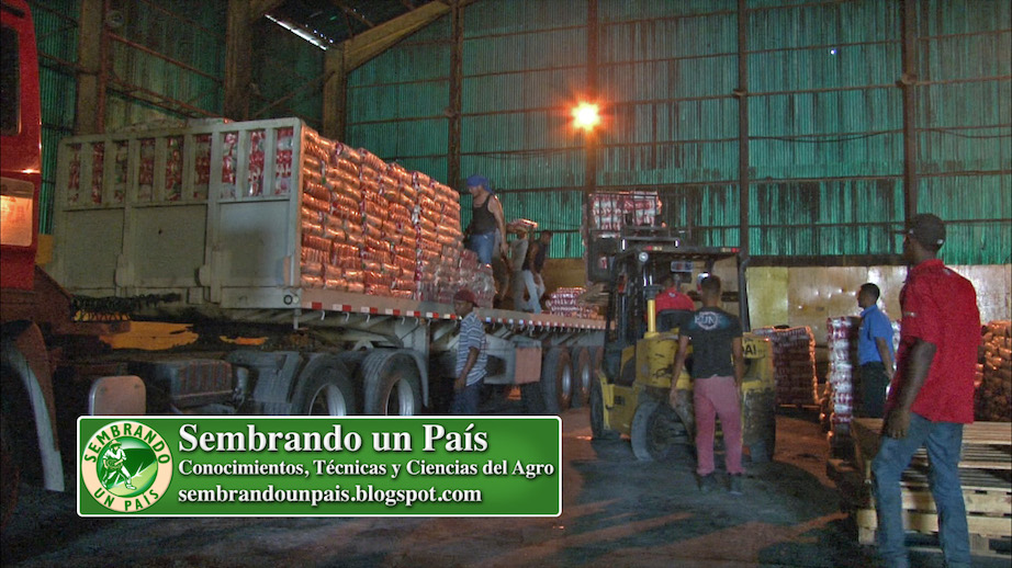 cargando paquetes de azúcar en gandola