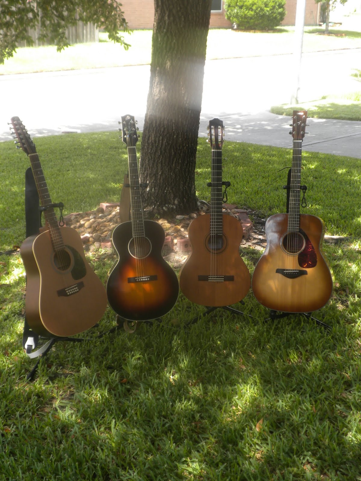 Group shots The Acoustic Guitar Forum