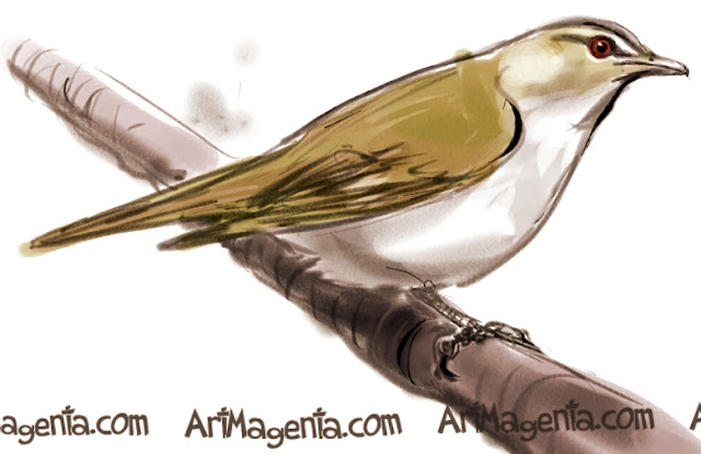 Red-eyed Vireo sketch painting. Bird art drawing by illustrator Artmagenta