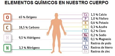 Los elementos químicos en el cuerpo humano: ¿Qué compone nuestro ...