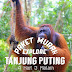 Paket Murah Explore Tanjung Puting (4H3M)