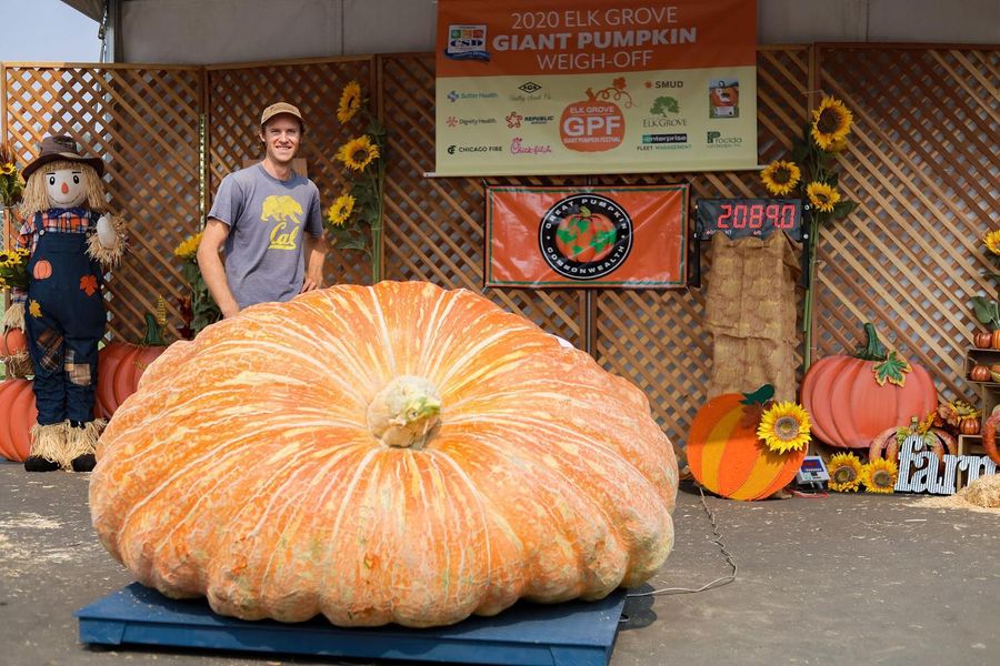A ton of giant pumpkin takes home prize