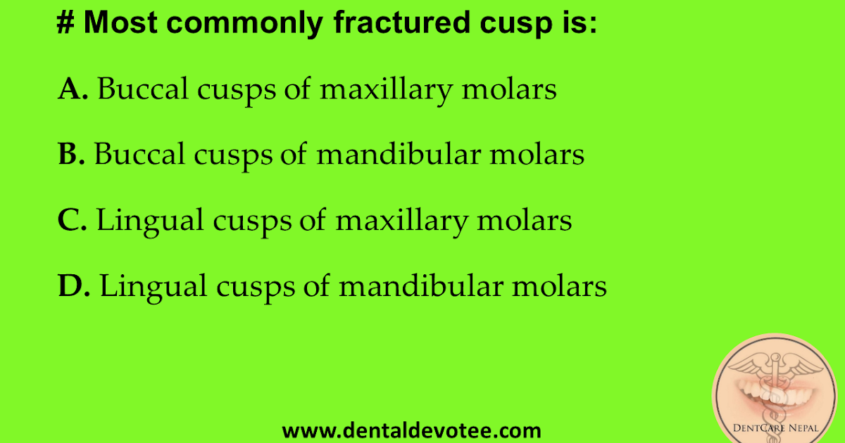 Dentosphere World of Dentistry Most commonly fractured cusp is