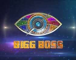 Rubina Delaike or ALI GONI ? Know weekly fees of other 'Bigg Boss 14' contestants