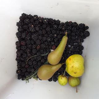 Pot of blackberries, pears, and apples