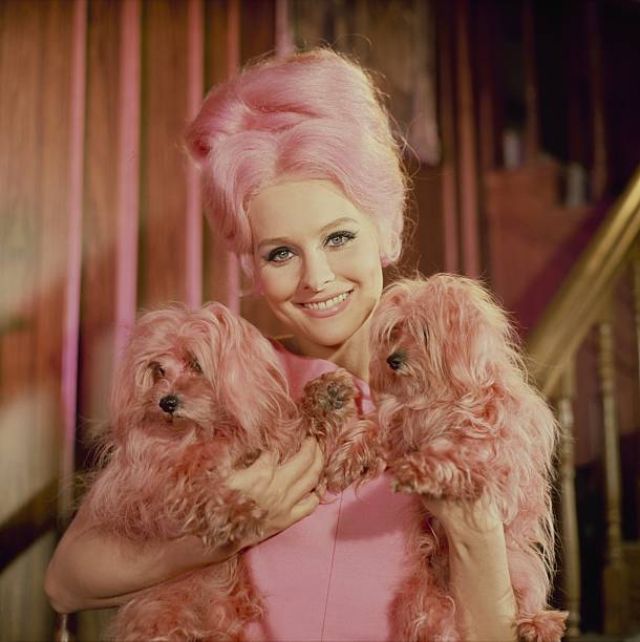 30 Glamorous Color Photos of Diane McBain in the 1960s Vintage Everyday