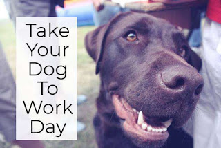National Take Your Dog to Work Day HD Pictures, Wallpapers