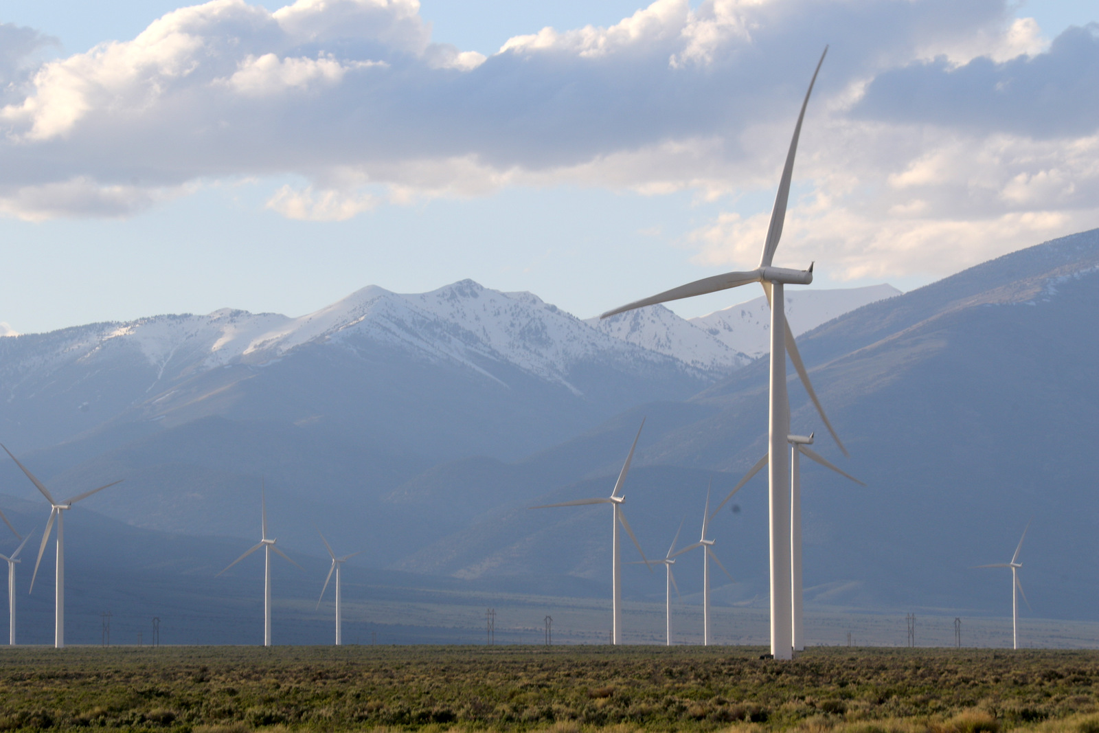 Desert Survivor Visiting Pattern's Spring Valley Wind Farm