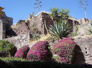 Voyage au Mexique Janvier-Février 2011