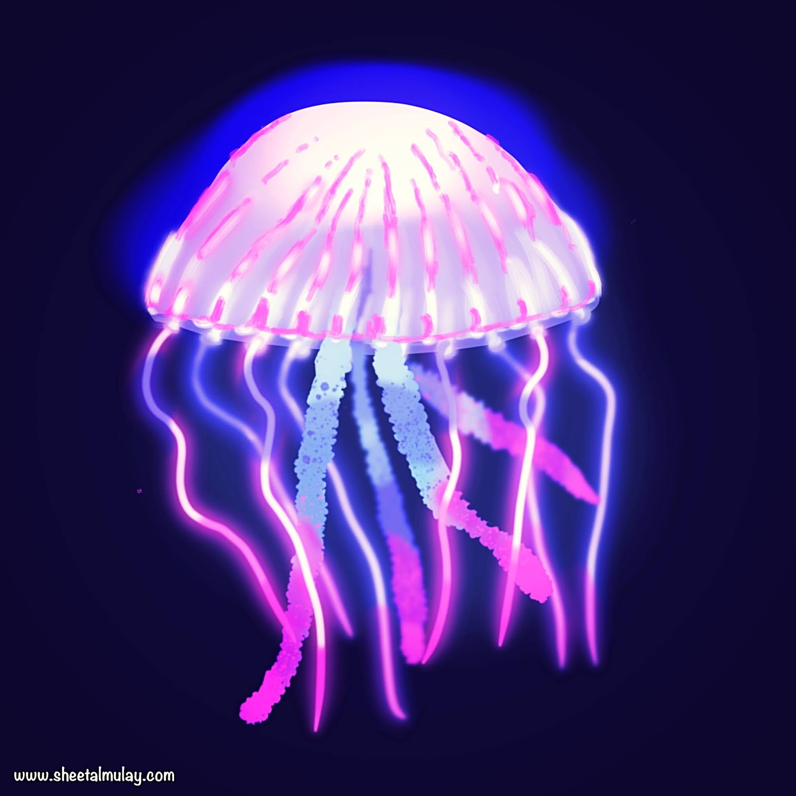 Jellyfish Illustration using Procreate
