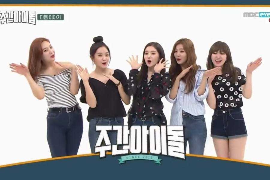 download law of the jungle terbaru download law of the jungle terbaru