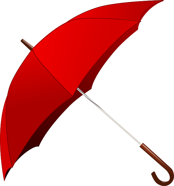 छत्री ची आत्मकथा / मनोगत निबंध Autobiography of umbrella in Marathi