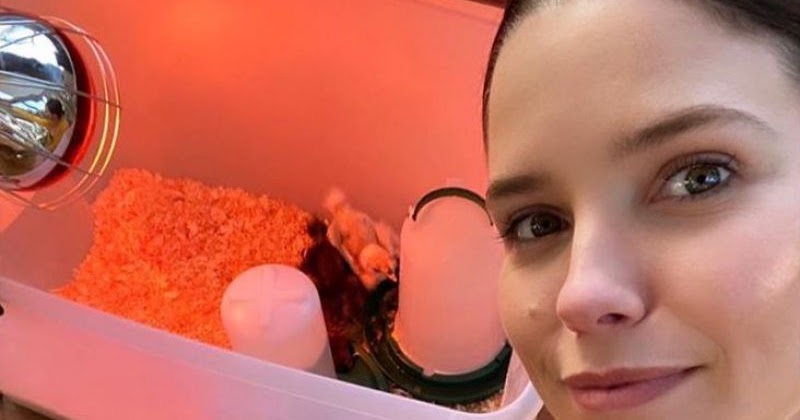 Sophia Bush Social Media Clicks 6 Aug -2020