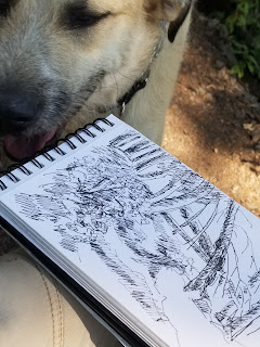 a dog visiting me, while sketching @ bald mountain trail, idaho