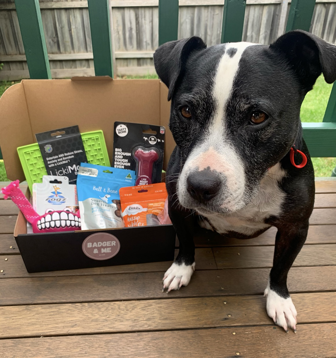 Best Dog Boredom Busters & Toys in 2021 Australian Dog Lover