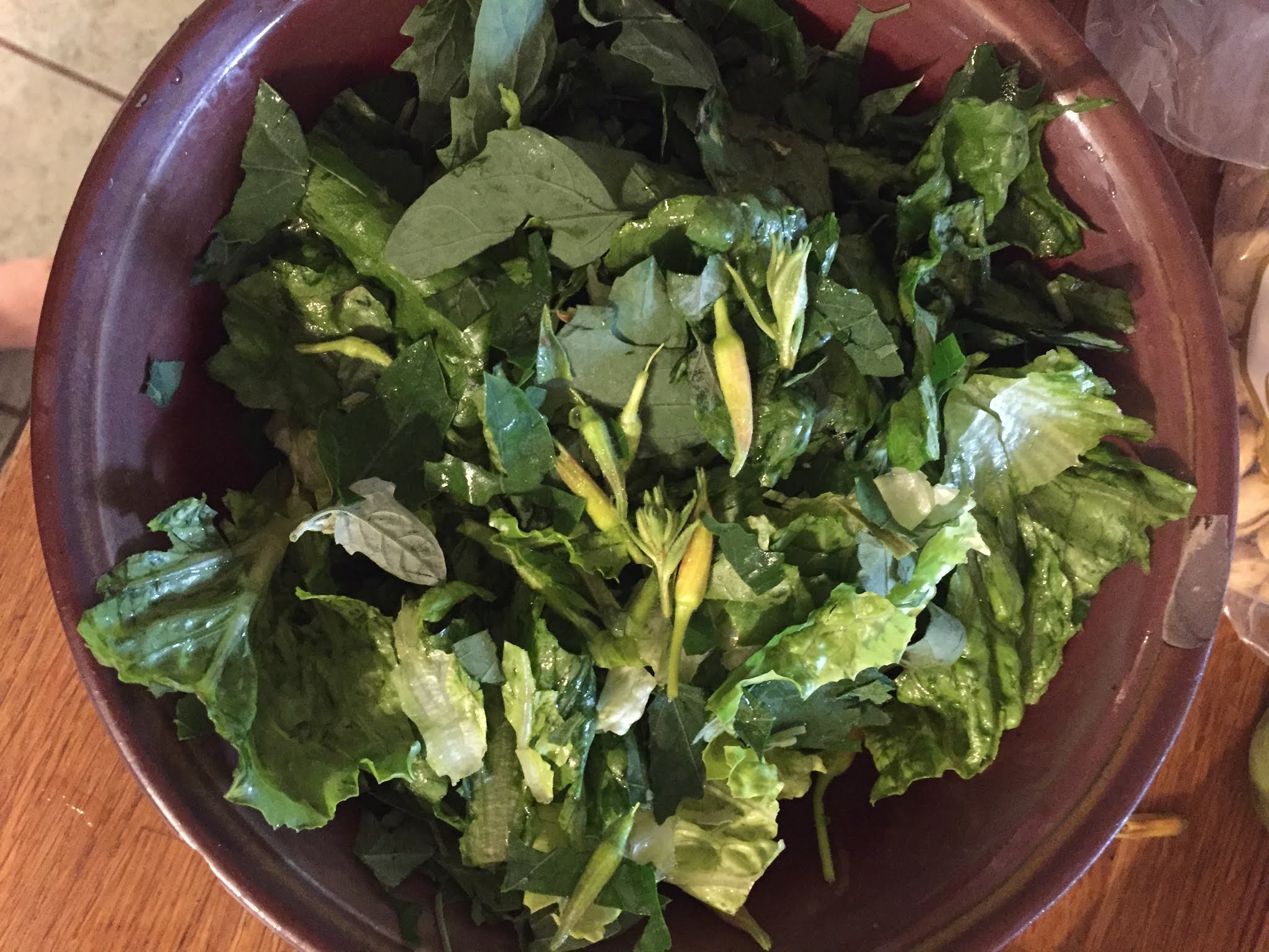 Claire Goes Foraging Salad with evening primrose buds and lambs