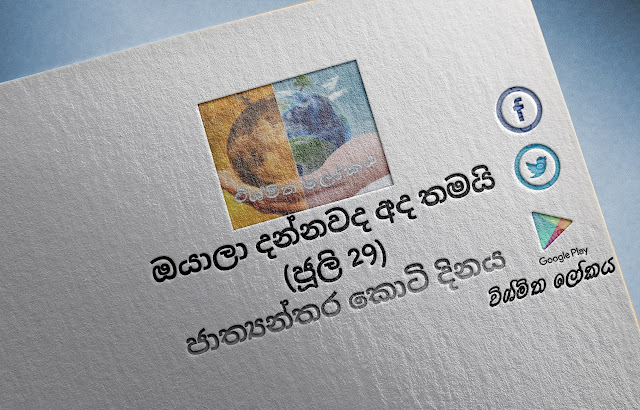 දවසේ වැදගත්කම - ජූලි 29 ජාත්‍යන්තර කොටි දිනය (Significance Of The Day - July 29 International Tiger Day) - Your Choice Way