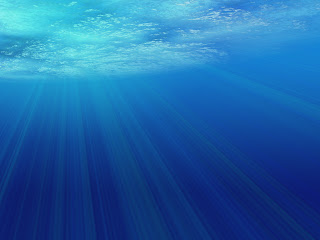 Rays Underwater wallpaper