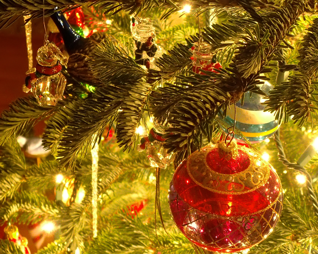 http://1.bp.blogspot.com/-HnpRLC30OQs/TvYJKvhaxzI/AAAAAAAAAG8/v0WkOqNGmZE/s1600/35-Christmas-wallpapers-free-red-christmas-ball-hanging-in-tree-wallpaper.jpg