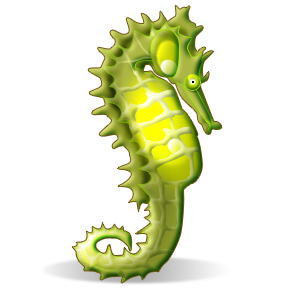 41+ Estrellas De Mar Caracoles Png Gif