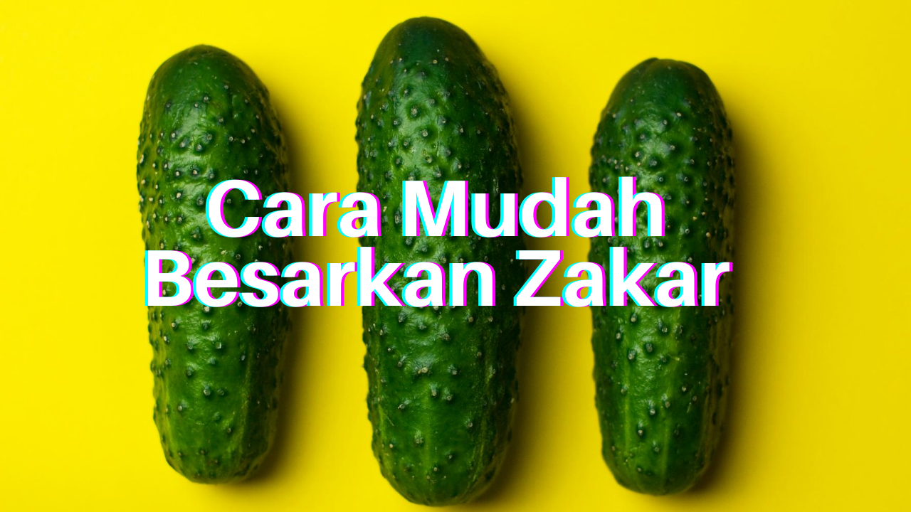 CARA MUDAH BESARKAN ZAKAR  Blog Penulisan Zul Fattah#FFFF00