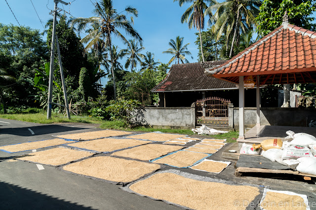 Ceking - Tegallalang - Ubud - Bali