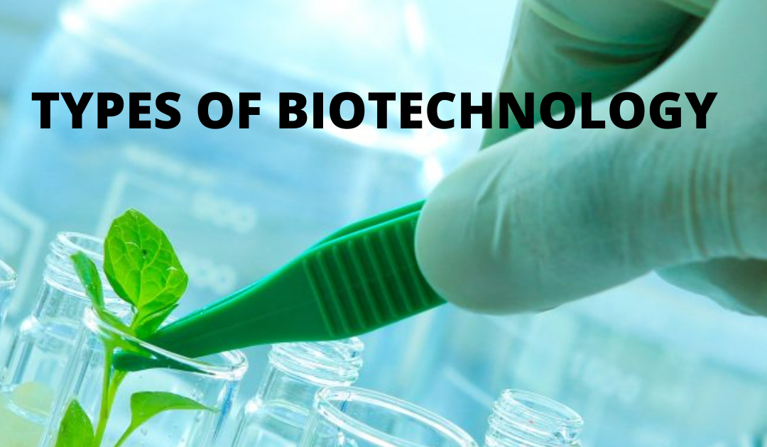 BIOTECH ASIA PACIFIC 2021 What are the types of biotechnology?