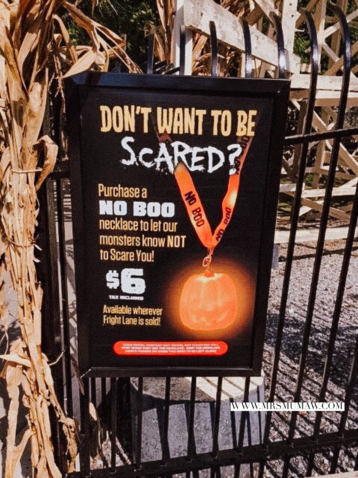 Cedar Point's Halloweekends with Kids The Every Things Mrs Mumaw