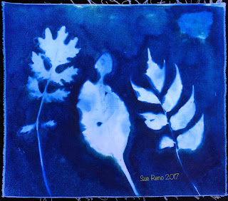 Wet cyanotype_Sue Reno_Image 224