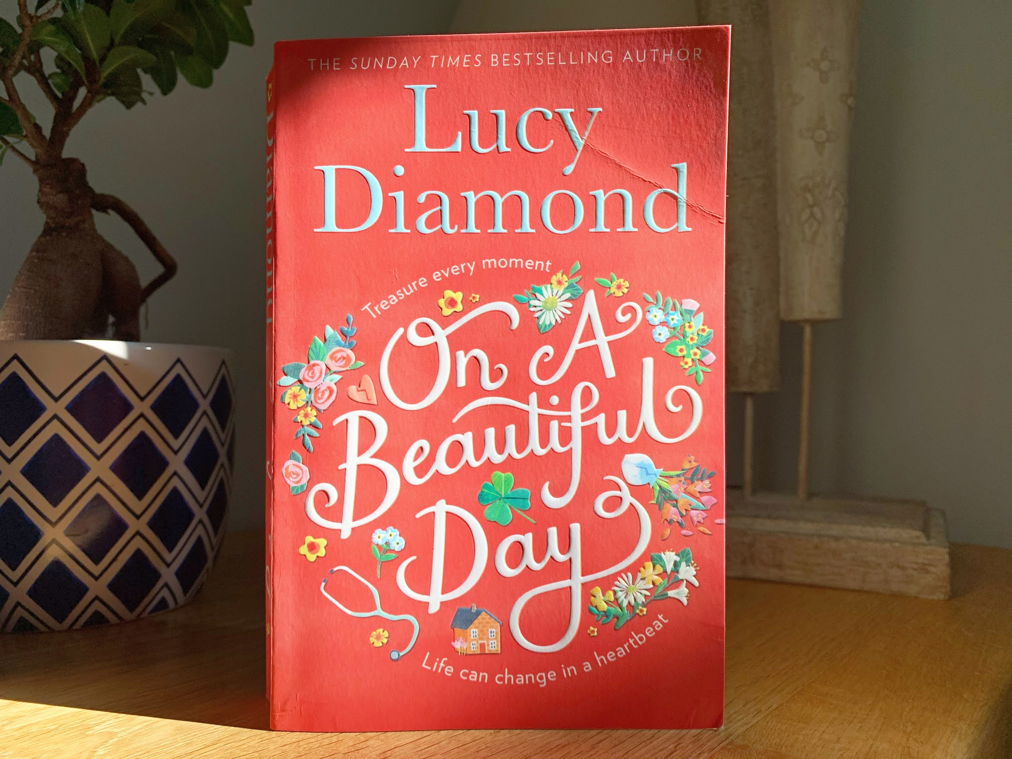 On a Beautiful Day by Lucy Diamond On a Beautiful Day by Lucy Diamond book on a shelf