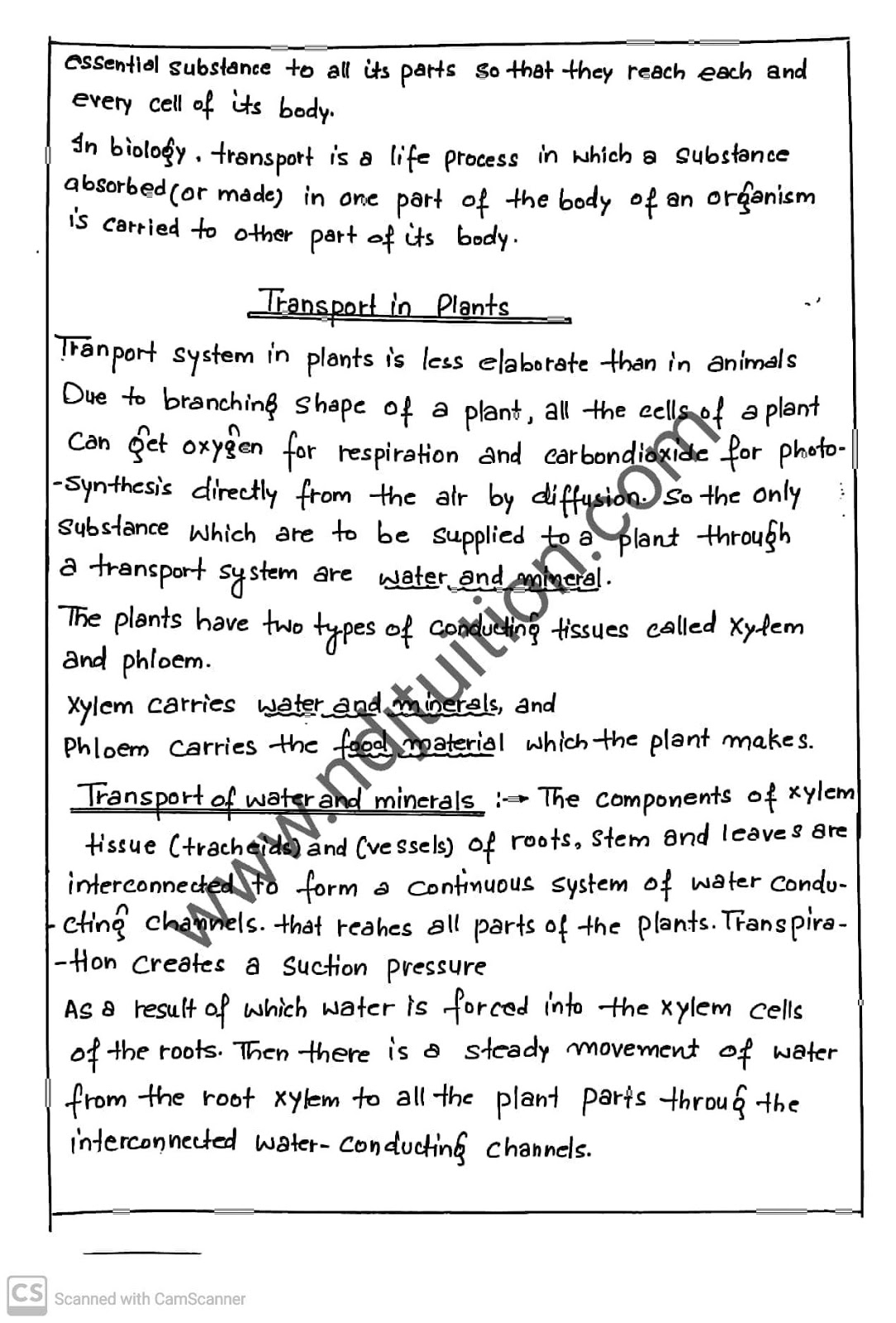 Life Processes Handwritten Notes for Class 10th