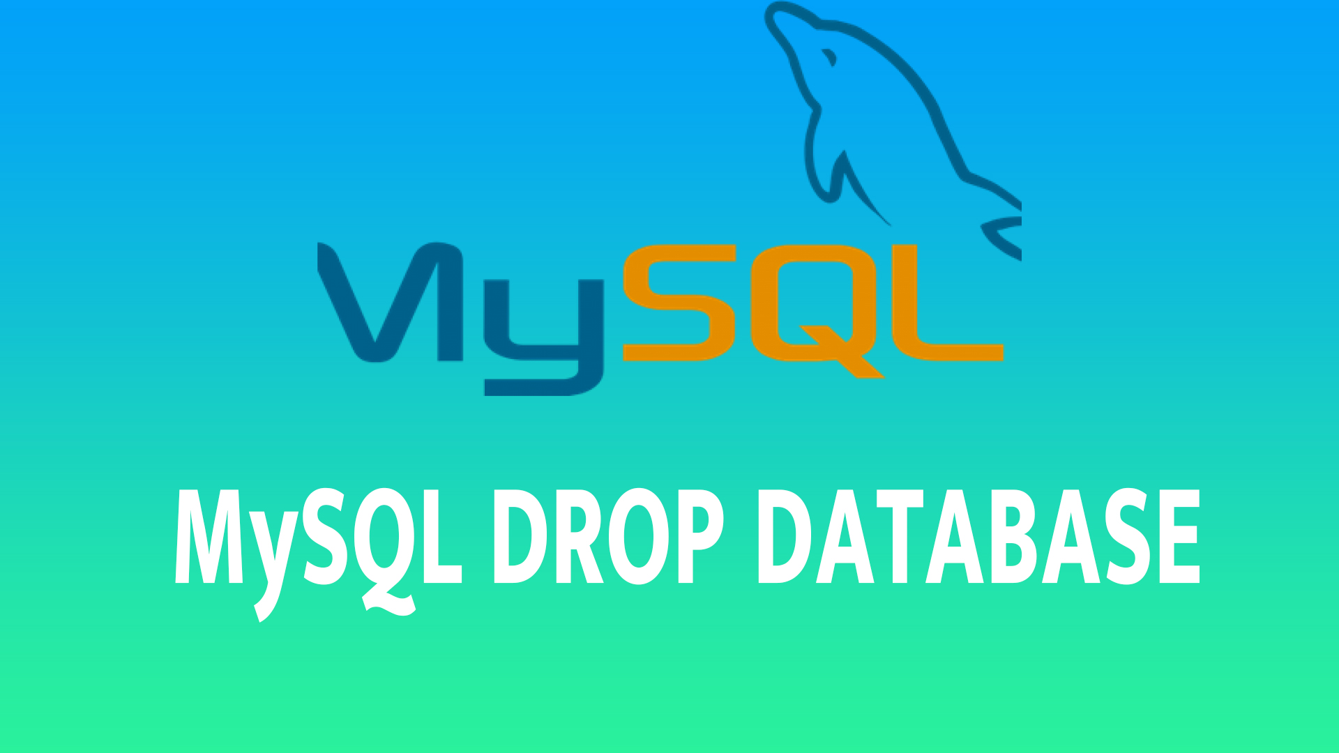 MySQL DROP DATABASE