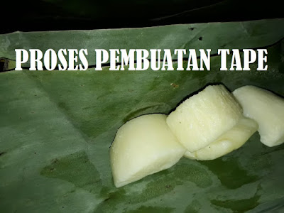 PROSES PEMBUATAN PENYEUM SINGKONG PROSES PEMBUATAN TAPE SINGKONG