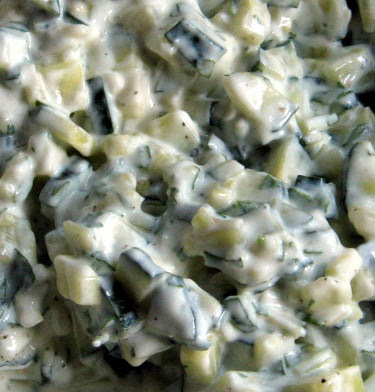 cilantro tzatziki