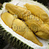 Distributor Daging Durian Medan yang Tiada Duanya di Muaradua