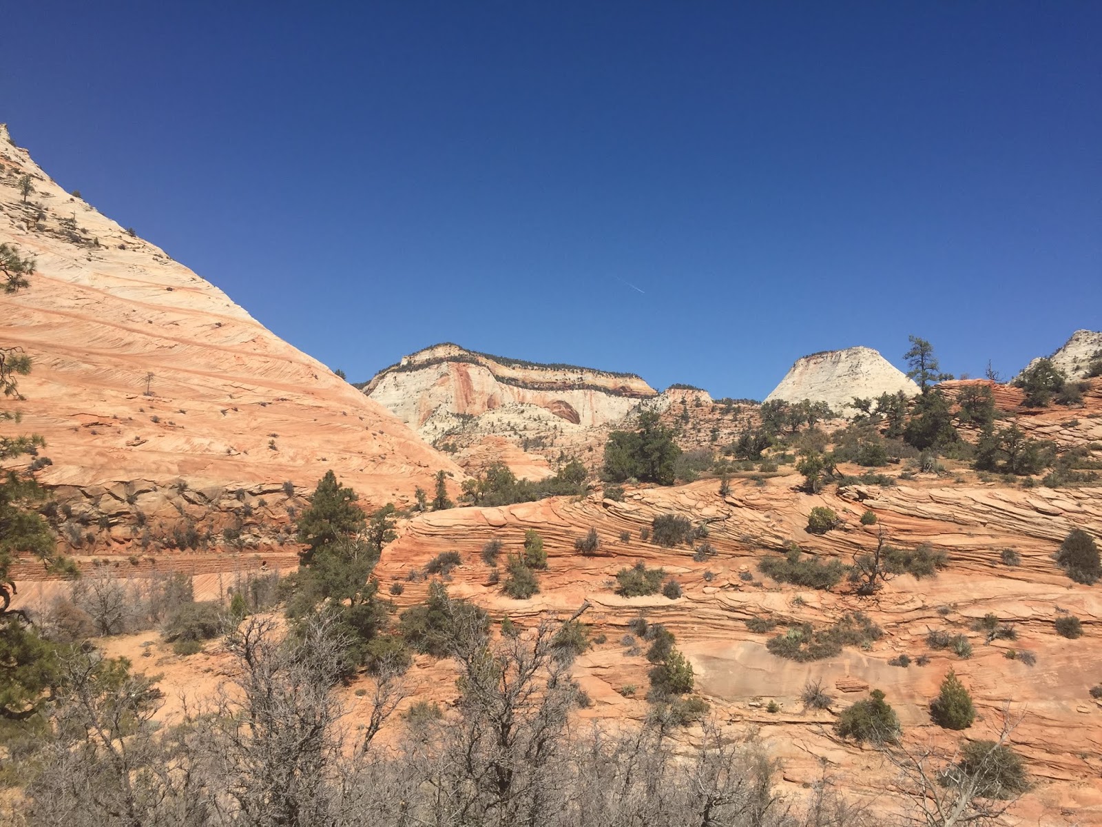 There Must Be More To Life Than Dishes and Laundry...